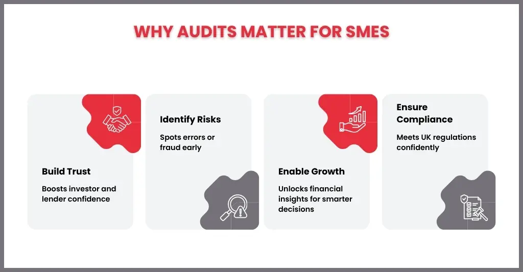 Why SMEs Need Professional Audits